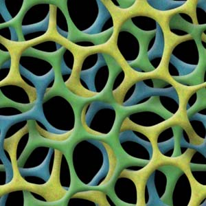 Holes 2 texture Tags