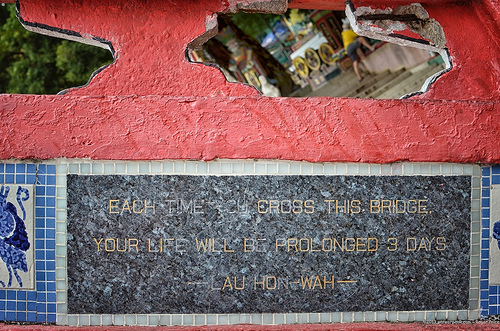 Well that's a stroke of luck - on the longevity bridge Tags