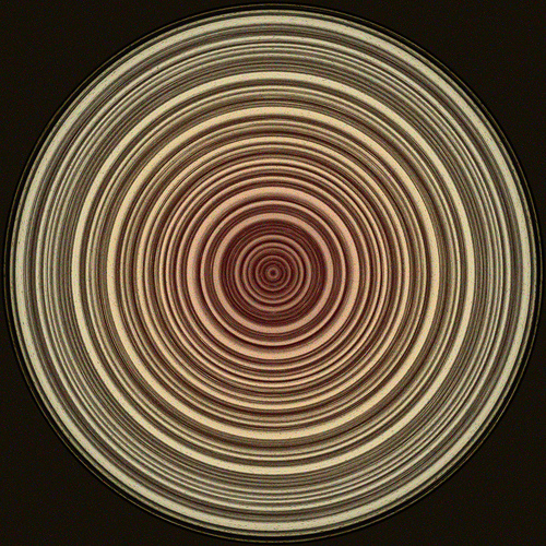 Treerings color Tags