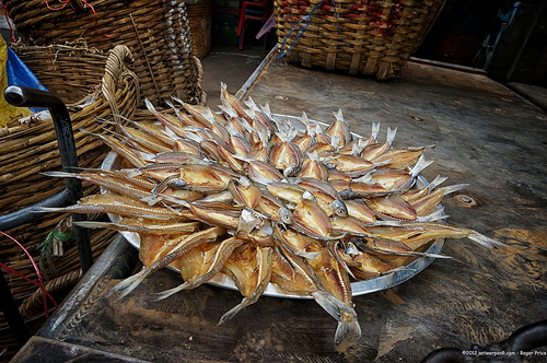 In between the showers, the fish are drying in the sun! Tags