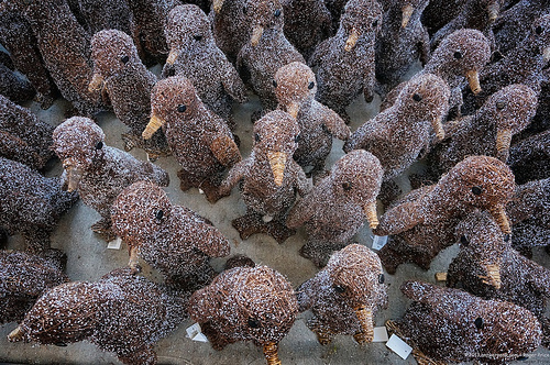 So many penguins... Tags