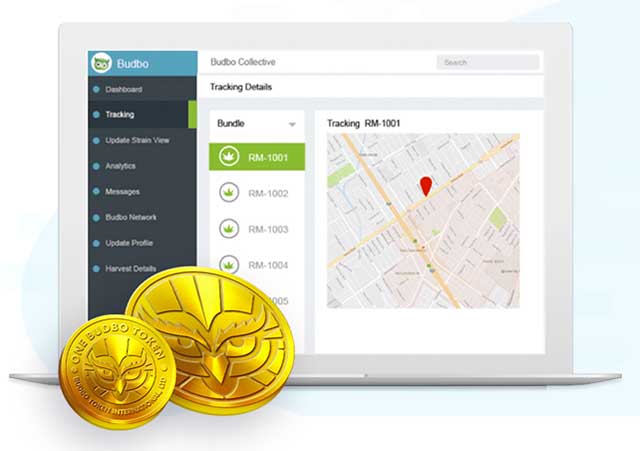 Budbo – the blockchain solution for the cannabis industry Budbo meets big data