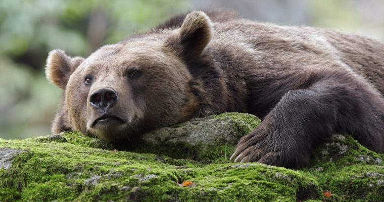 Cryptocurrency market cap retreats below $400 billion