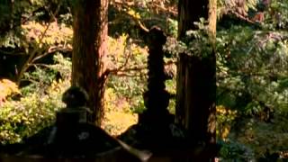 The will of the shogun (documentary) The will of the shogun (documentary)
