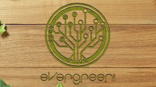 Evergreencoin interview with founder steven saxton Evergreencoin interview with founder steven saxton