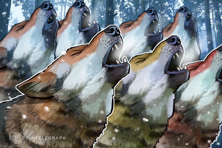 Wolf of wall street says bitcoin could hit $50k before crashing Wolf of wall street says bitcoin could hit $50k before crashing