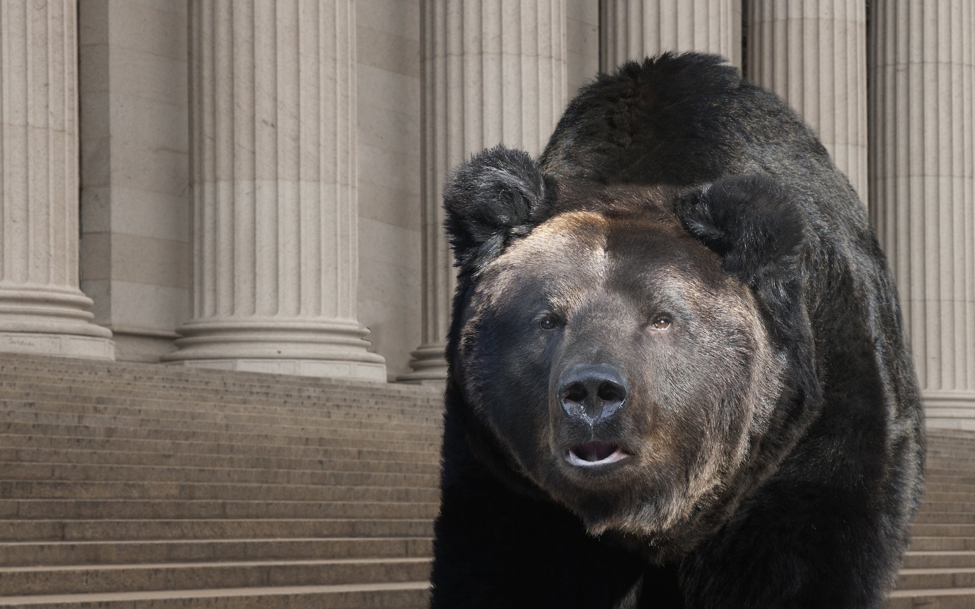 Bitcoin price under $10k as big resistance triggers ‘a few days of bears’ Bitcoin price under $10k as big resistance triggers ‘a few days of bears’