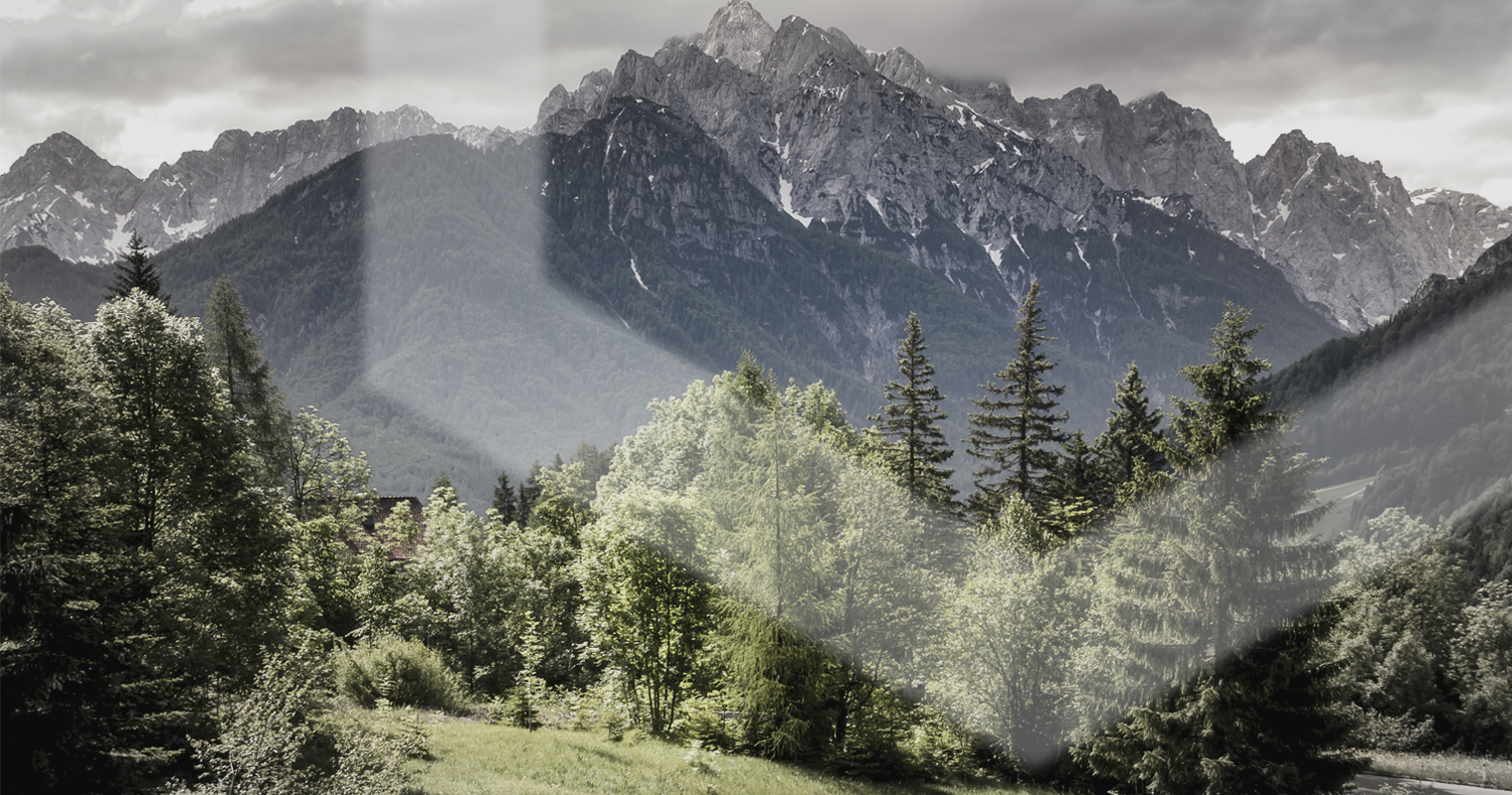 Slovenia: local bank forced to stop selling cryptocurrency via atms Slovenia: local bank forced to stop selling cryptocurrency via atms