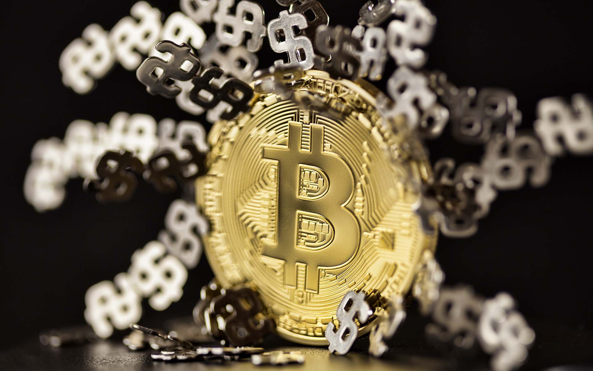 Political bitcoin donations are gaining traction Bitcoin donations