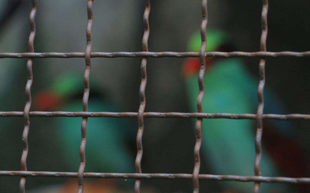 Thailand finance minister: ‘regulators cannot stop use of virtual currencies’ Thailand finance minister: ‘regulators cannot stop use of virtual currencies’