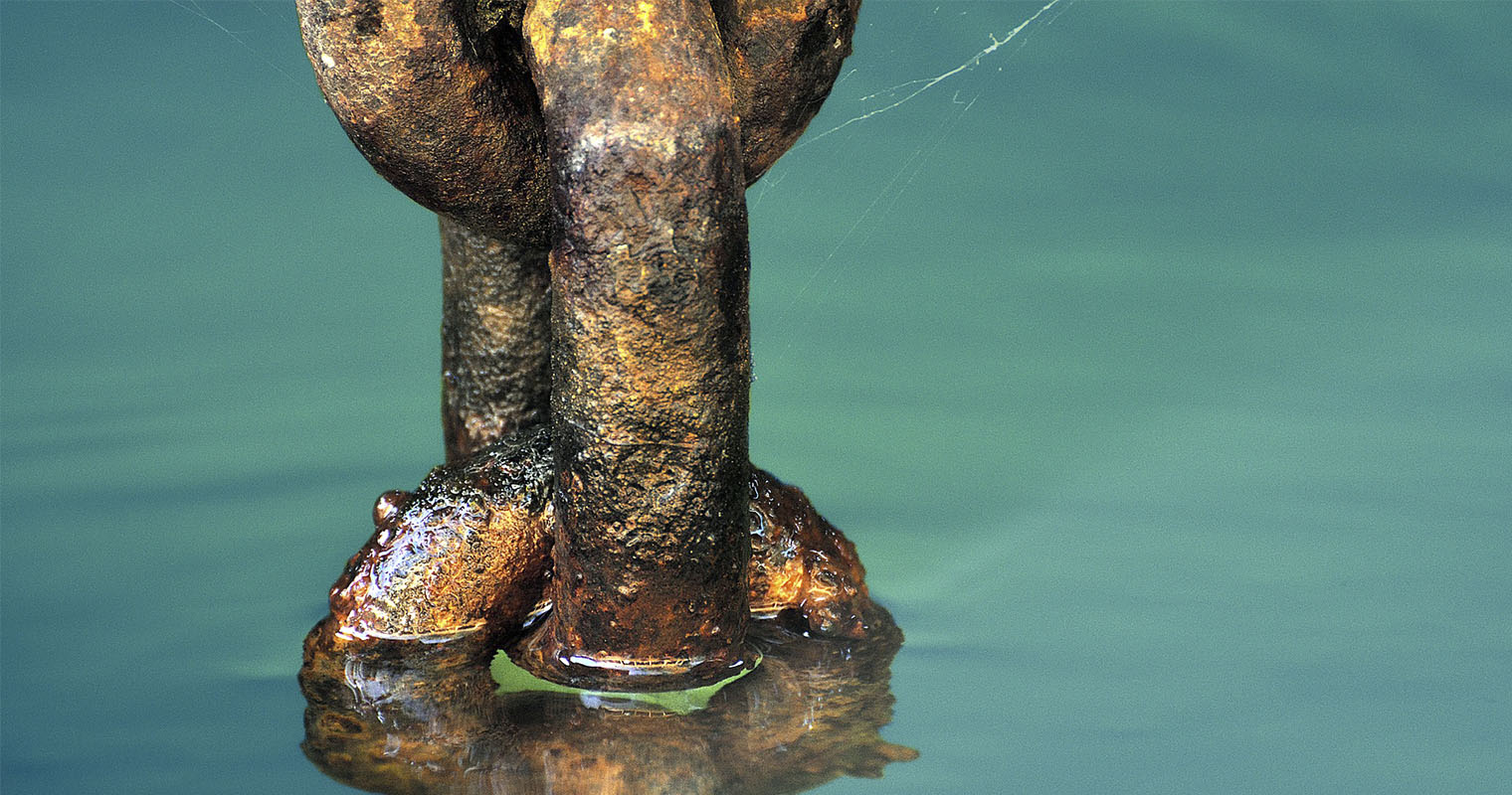 California largest state to recognize blockchain records California largest state to recognize blockchain records