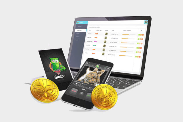 How budbo plans to legitimize and revolutionize the cannabis industry Bud on the blockchain