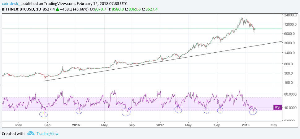 Bullish signs above $8k – has bitcoin turned the corner? Bullish signs above $8k – has bitcoin turned the corner?