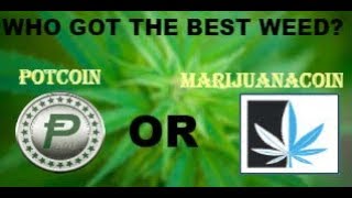 Potcoin vs marijuanacoin Potcoin vs marijuanacoin