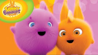 Cartoon | sunny bunnies | 30min compilation 101-109 | cartoons for children Cartoon | sunny bunnies | 30min compilation 101-109 | cartoons for children