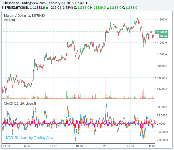 Bitcoin price soars above $11,600 as bulls strengthen positions Bitcoin price