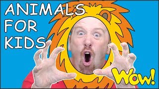 Animals for kids and mr. Sun new story from steve and maggie for children | wow english tv Animals for kids and mr. Sun new story from steve and maggie for children | wow english tv