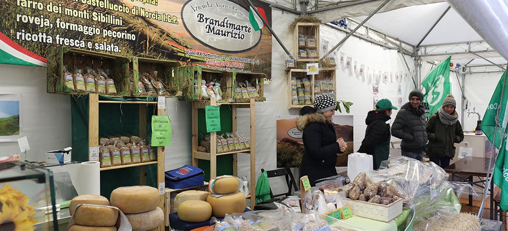 “real users:” bitcoin donations helped these earthquake survivors recover Earthquake market