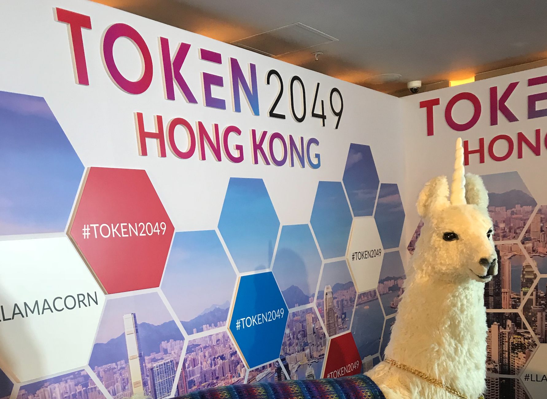 Waking dragon? Asia's token economy is charging full speed ahead Waking dragon? Asia's token economy is charging full speed ahead