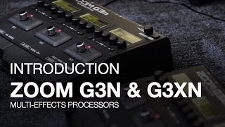 G3xn/g3n: introduction G3xn/g3n: introduction