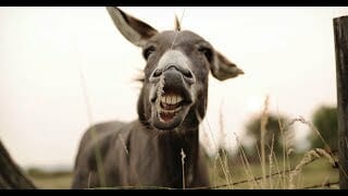 Cyder coin???? (cyder) business networking club for crypto Cyder coin???? (cyder) business networking club for crypto