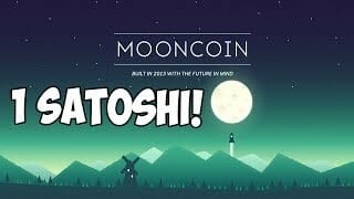Mooncoin's fall: what lessons can we learn from it? Mooncoin's fall: what lessons can we learn from it?