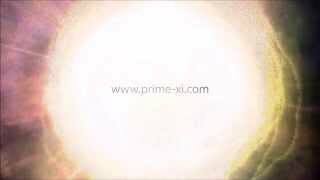 Prime xi now on bittrex Prime xi now on bittrex