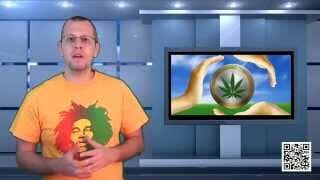Why you should invest in cannabis coin Why you should invest in cannabis coin