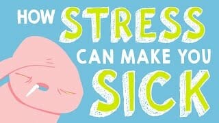 How stress affects your body - sharon horesh bergquist How stress affects your body - sharon horesh bergquist
