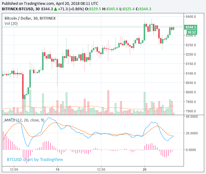 Cryptocurrency market surges to $365 billion, start of a bull rally? Cryptocurrency market surges to $365 billion, start of a bull rally?