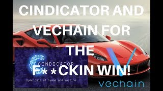 Buy cindicator and vechain before its to damn late! Buy cindicator and vechain before its to damn late!