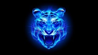 Pie coin! The new cult coin! Pie coin! The new cult coin!