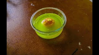 Egg in mountain dew for 2 months - experiment Egg in mountain dew for 2 months - experiment