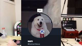 Nexus is back? #trickshottingalert ice eddie exposed? ~ @p2bit Nexus is back? #trickshottingalert ice eddie exposed? ~ @p2bit