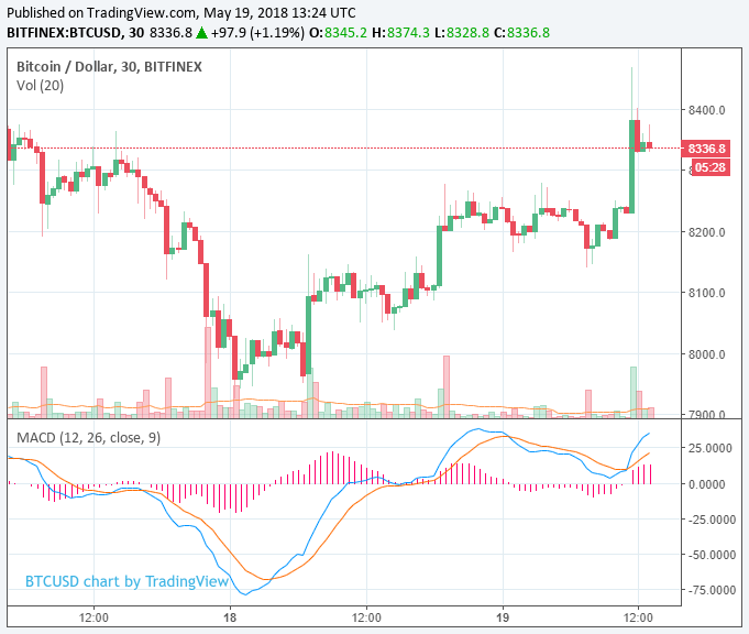 Cryptocurrency market rebounds after poor week, ether gains 5% and aelf rises 17% Cryptocurrency market rebounds after poor week, ether gains 5% and aelf rises 17%