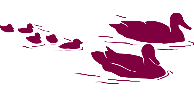 First facebook and google, now bing moves to ban cryptocurrency advertising Bing following google and facebook.