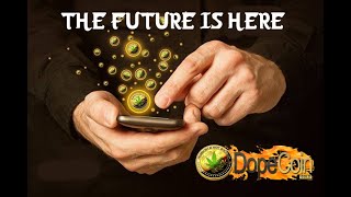 Pot coin review - stand aside the real dope coin is here Pot coin review - stand aside the real dope coin is here