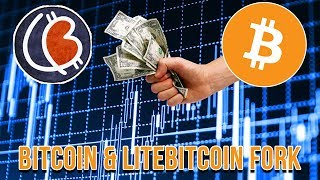 Bitcoin fork with litebitcoin - btc lbtc fork - litebitcoin cryptocurrency Bitcoin fork with litebitcoin - btc lbtc fork - litebitcoin cryptocurrency
