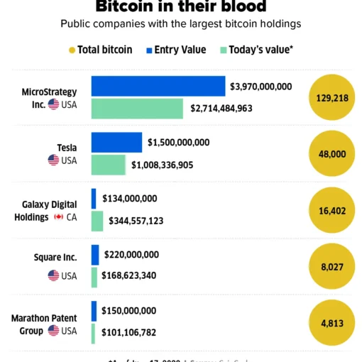 Bitcoin holdings by public companies