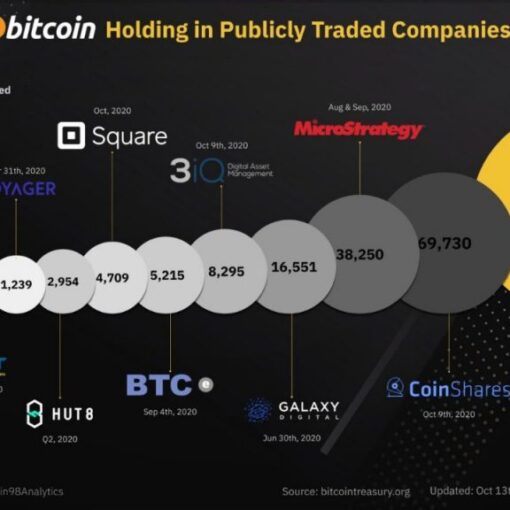 Bitcoin holdings by public companies