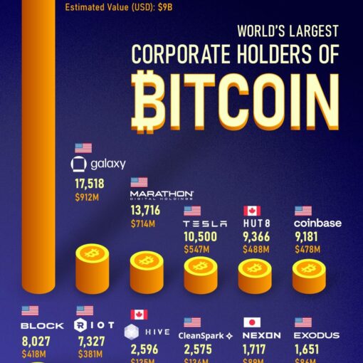 Bitcoin holdings by public companies