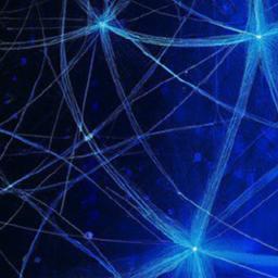 Running a bitcoin node strengthens network decentralization The role of full nodes in enforcing consensus rules and preventing centralization