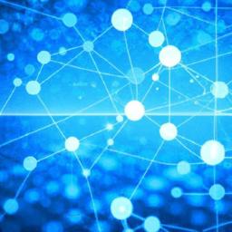 What is a sat stacker? Regular small bitcoin buyers Motivations goals and time horizons of regular small bitcoin buyers