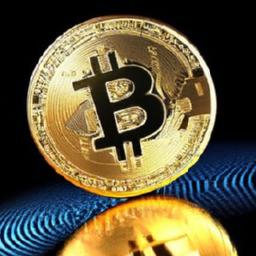 Bitcoin can be lost: private keys or wrong address Understanding how bitcoin can be permanently lost