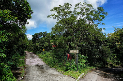 Decisions… fork in the road... Tags