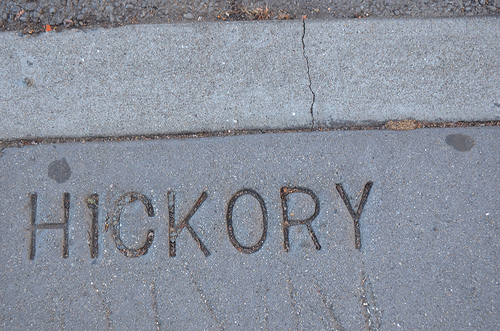 Hickory st in hayes valley where ross ulbricht lived Tags