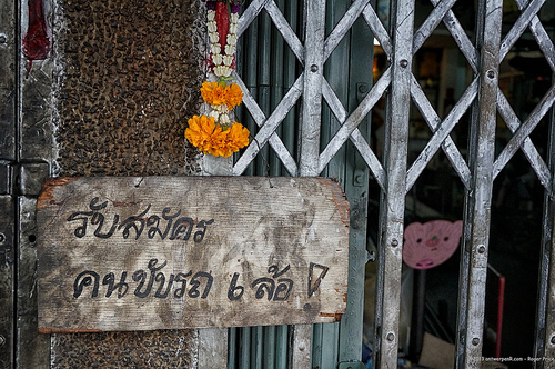 Gotta love the pink cat Tags