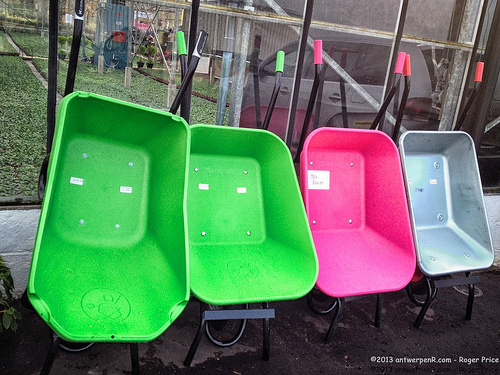 Autumn colours... Tags