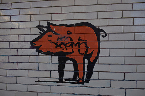 Momi toby's revolution cafe where ross ulbricht may have worked from Tags