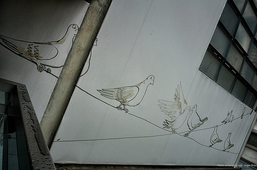 Birdies @ central oasis… had not noticed these before... Tags